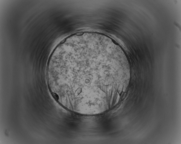 X0000093091247200710171131