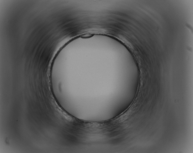 X0000093091248200710171131