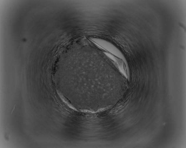 X0000093091249200710171130