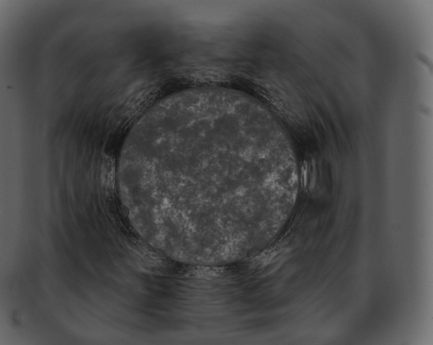 X0000093091251200710171130