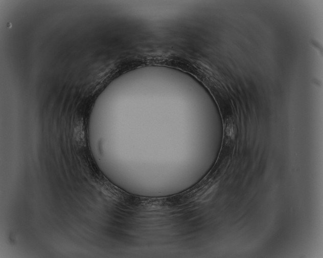 X0000093091252200710171130