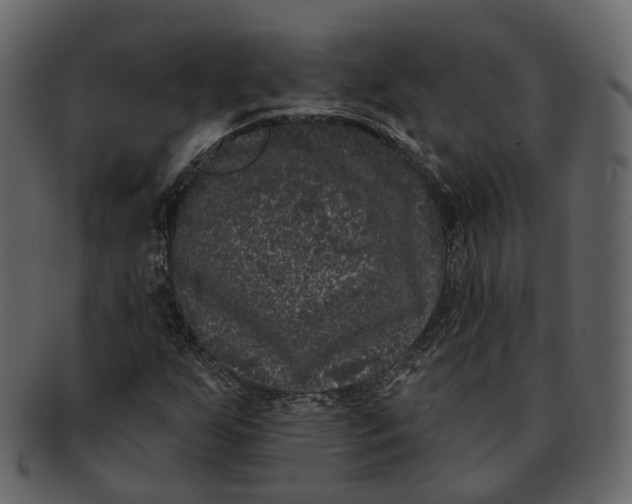 X0000093091255200710171130