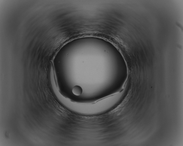 X0000093091257200710171130