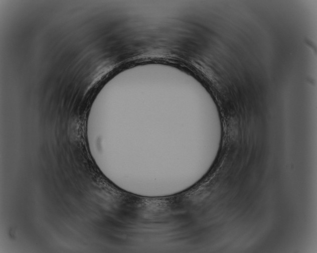 X0000093091258200710171130