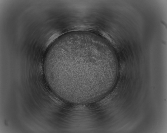 X0000093091259200710171130