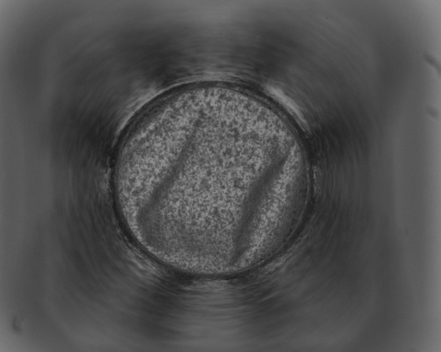 X0000093091260200710171130