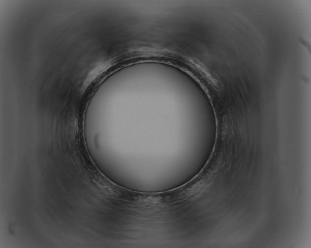 X0000093091261200710171130