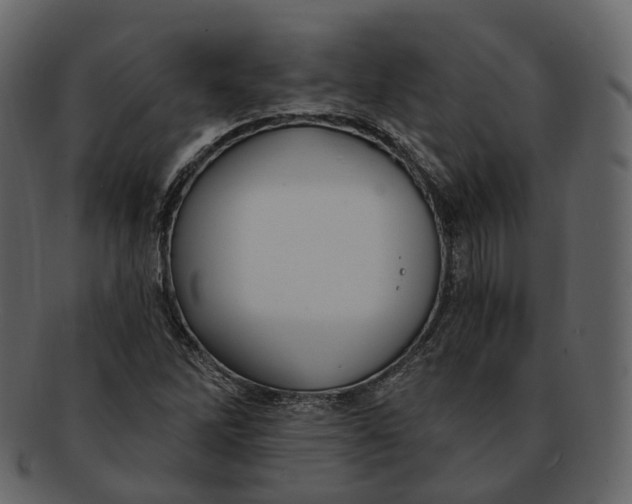 X0000093091262200710171130