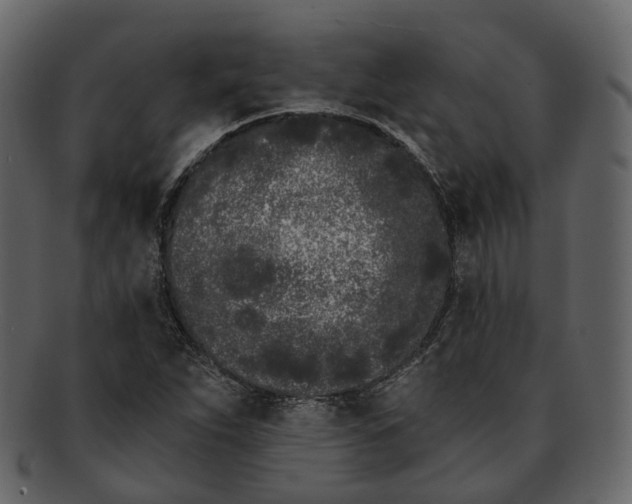 X0000093091263200710171130