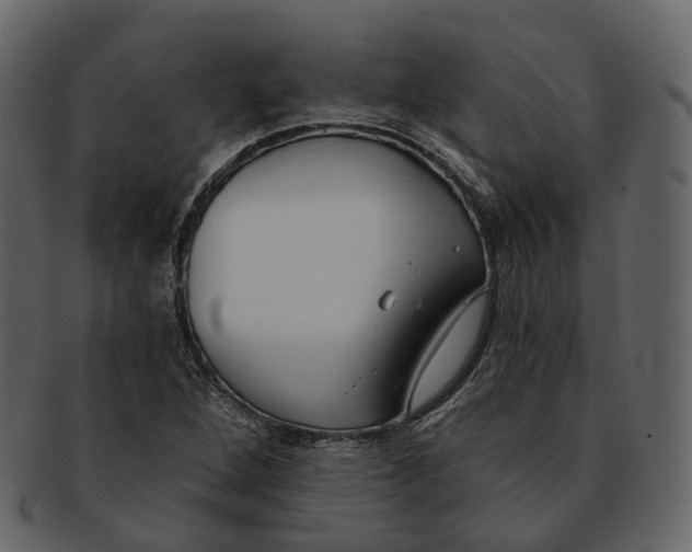 X0000093091264200710171130