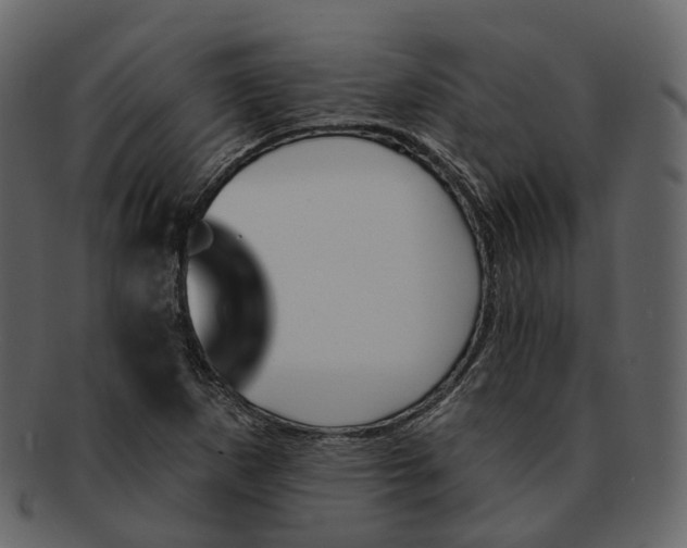 X0000093091265200710171130