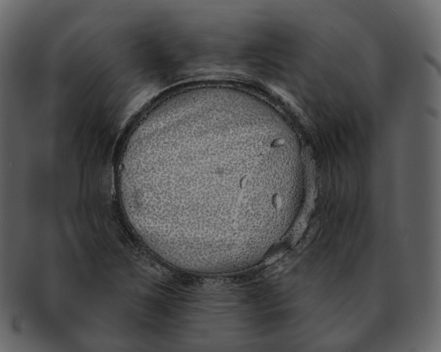 X0000093091267200710171130