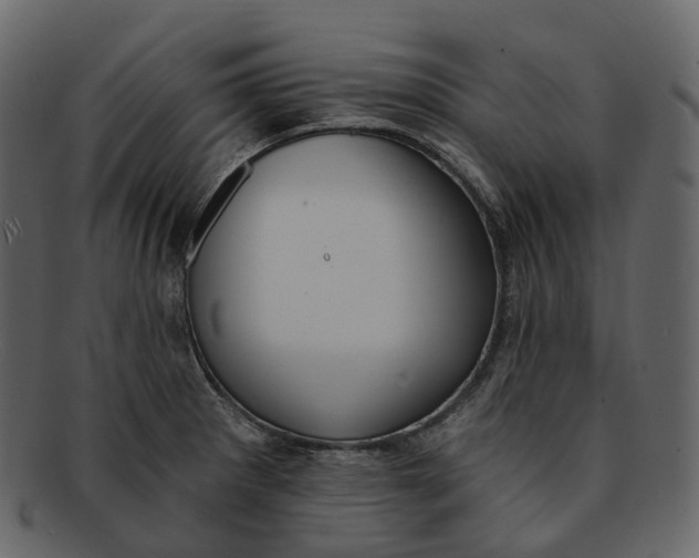 X0000093091281200710171129