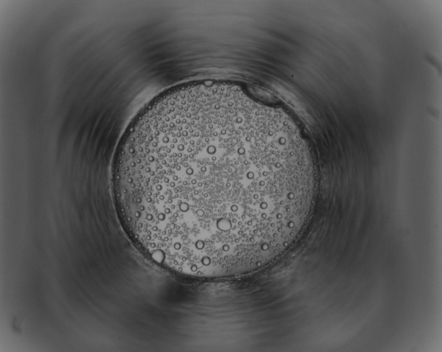 X0000093091283200710171129