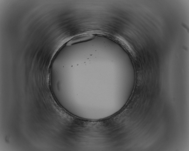 X0000093091284200710171129