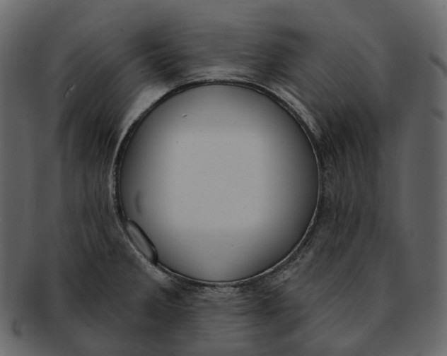 X0000093091285200710171129