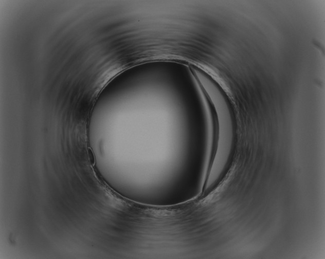 X0000093091289200710171129