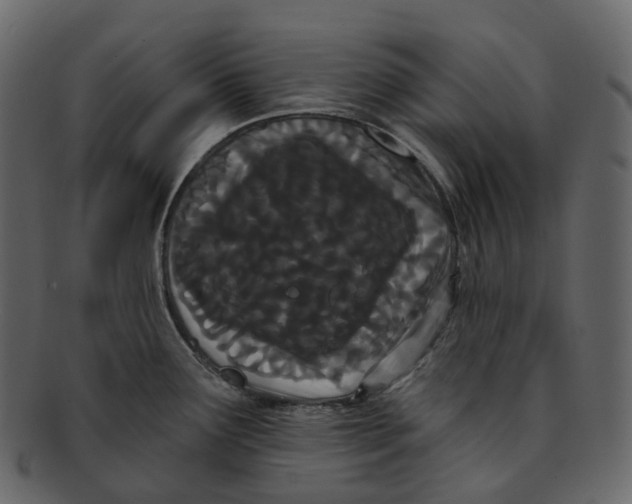 X0000093091291200710171129