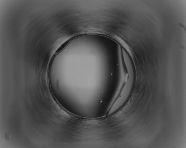 X0000093091293200710171129