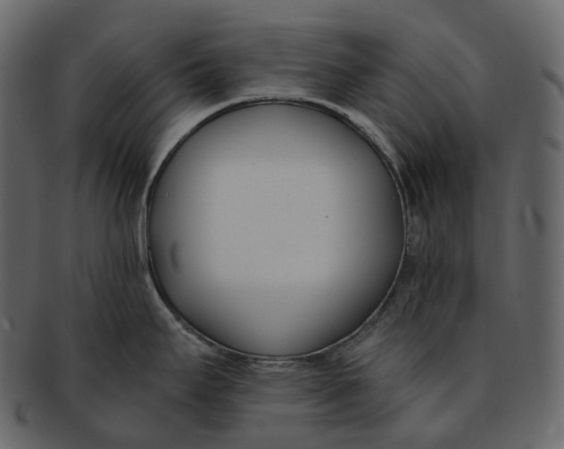 X0000093091295200710171129