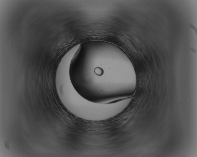 X0000093091298200710171129