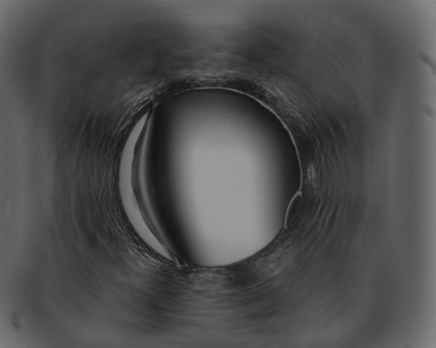 X0000093091300200710171129