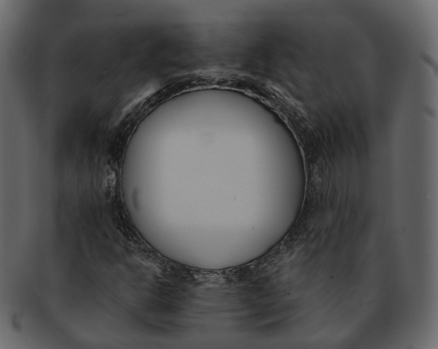 X0000093091302200710171129