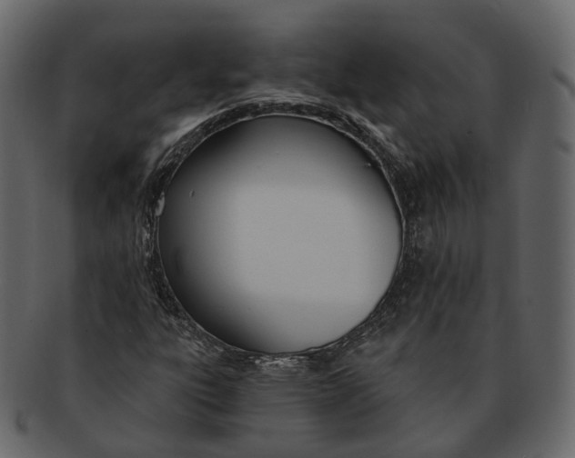 X0000093091303200710171129