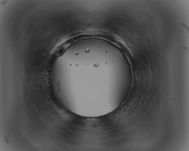 X0000093091304200710171129