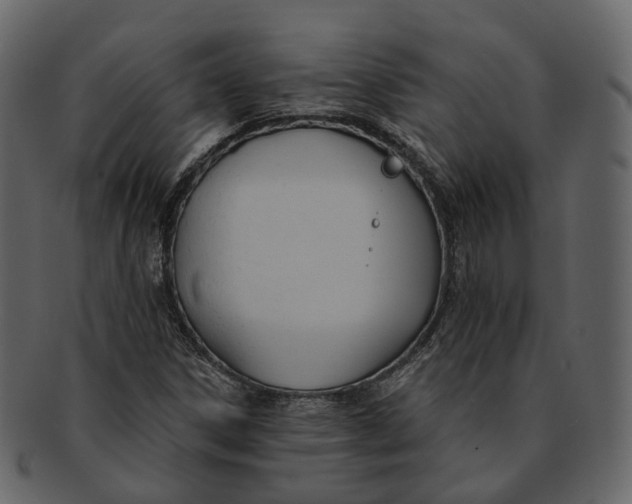 X0000093091306200710171129