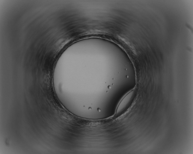 X0000093091313200710171129