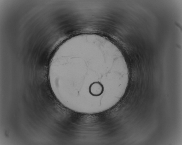 X0000093091314200710171129