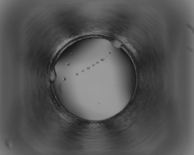 X0000093091316200710171129