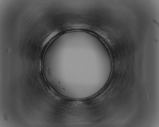 X0000093091317200710171129