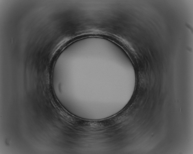 X0000093091318200710171129