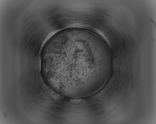 X0000093091323200710171129