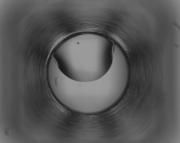 X0000093091324200710171129