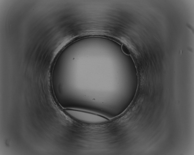 X0000093091325200710171129