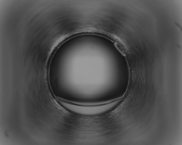 X0000093091326200710171129