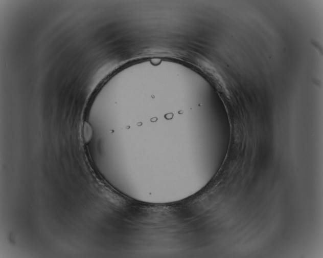 X0000093091328200710171129