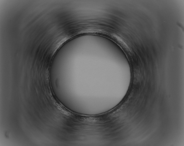 X0000093091329200710171129