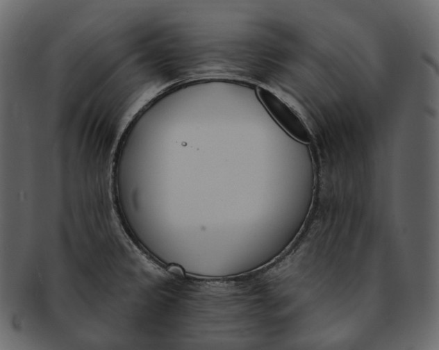 X0000093091333200710171129