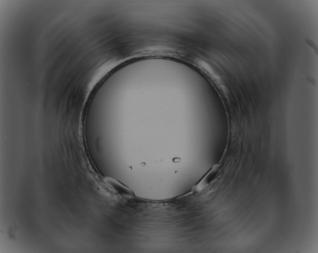 X0000093091336200710171129