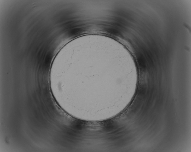 X0000093091338200710171129