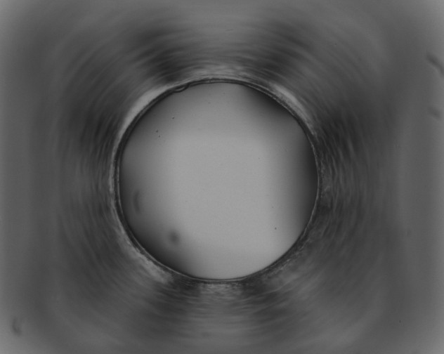 X0000093091339200710171129