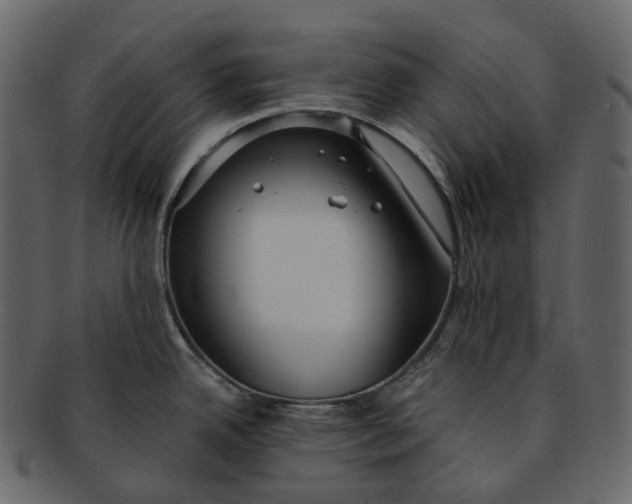 X0000093091342200710171129