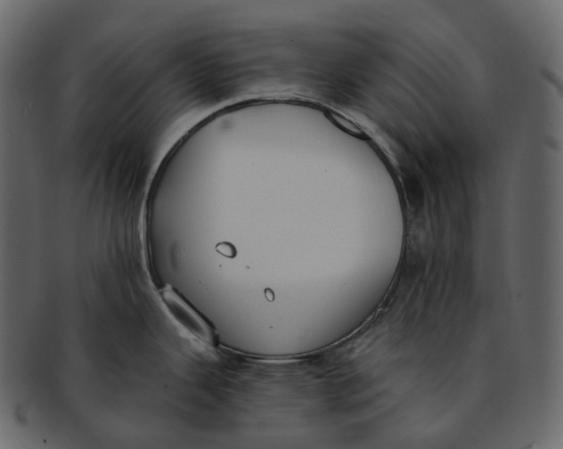 X0000093091343200710171129