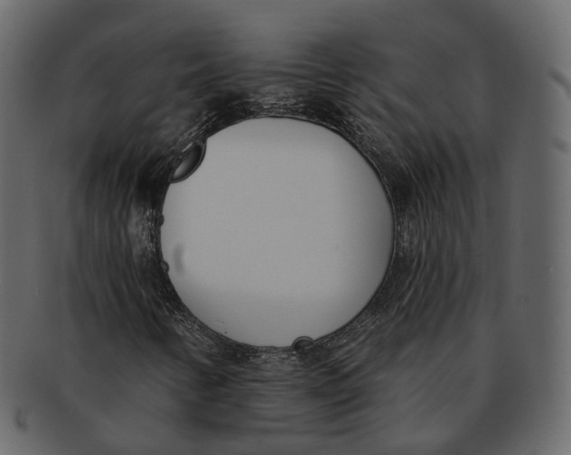 X0000093091346200710171129