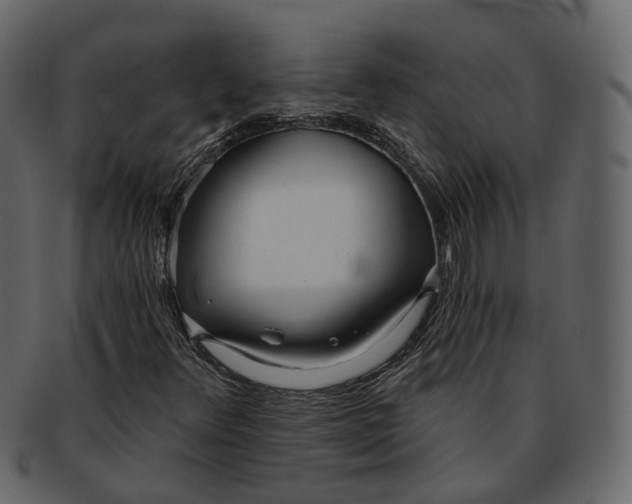 X0000093091348200710171129