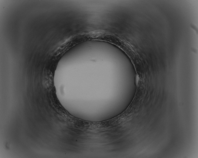 X0000093091349200710171129